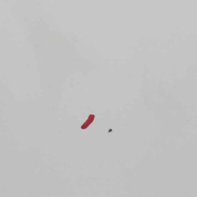 Hood Bonnet Trim Covering Panel Frozen White - Z2 to Ford Transit with Part number 2454107 Ford Transit Hood Bonnet Trim Covering Panel Frozen White - Z2 - SKU 2454107-FW1 - Part number 2454107