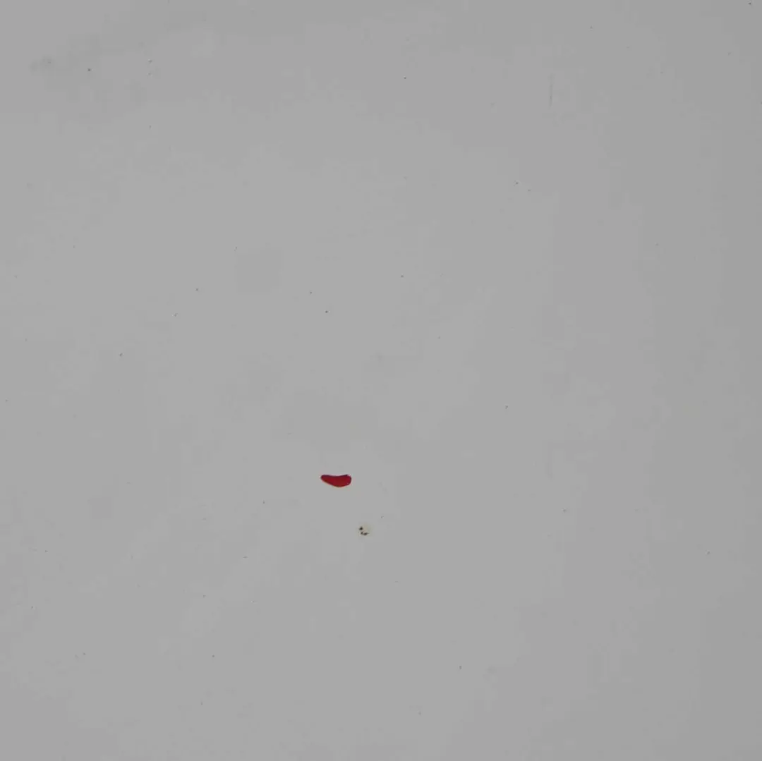 Capó Panel Cubre Capó Frozen White - Z2 para Ford Transit con número de pieza 2454107 Ford Transit Capó Panel Cubre Capó Frozen White - Z2 - SKU 2454107-FW2 - Número de pieza 2454107