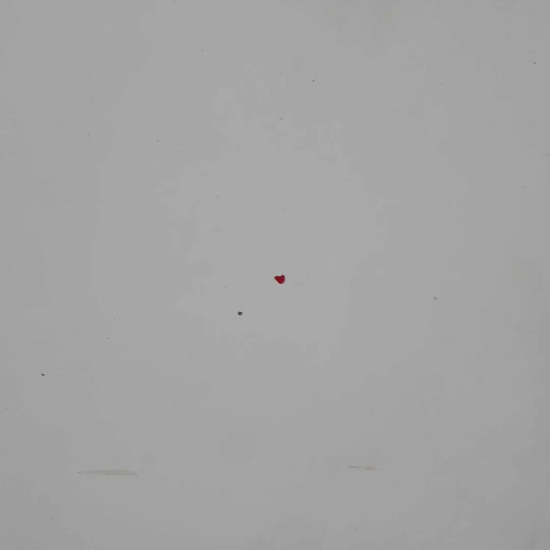 Capot Capot Panneau d'habillage Frozen White - Z2 pour Ford Transit à propos du numéro de pièce 2454107 Ford Transit Capot Capot Panneau d'habillage Frozen White - Z2 - SKU 2454107-FW2 - Numéro de pièce 2454107