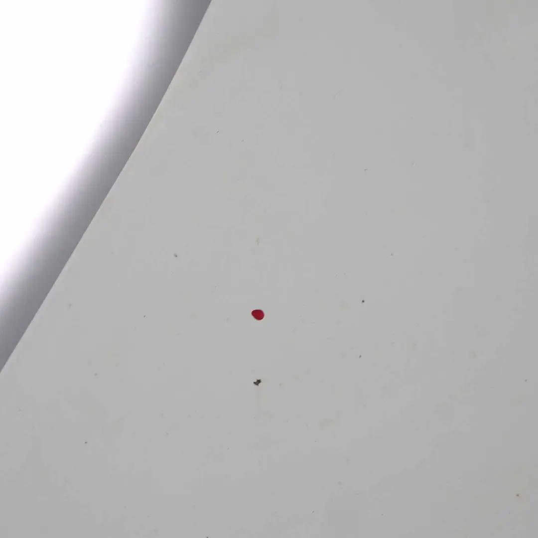 Ford Transit Capot Capot Panneau d'habillage Frozen White - Z2 - SKU 2454107-FW2 - Numéro de pièce 2454107