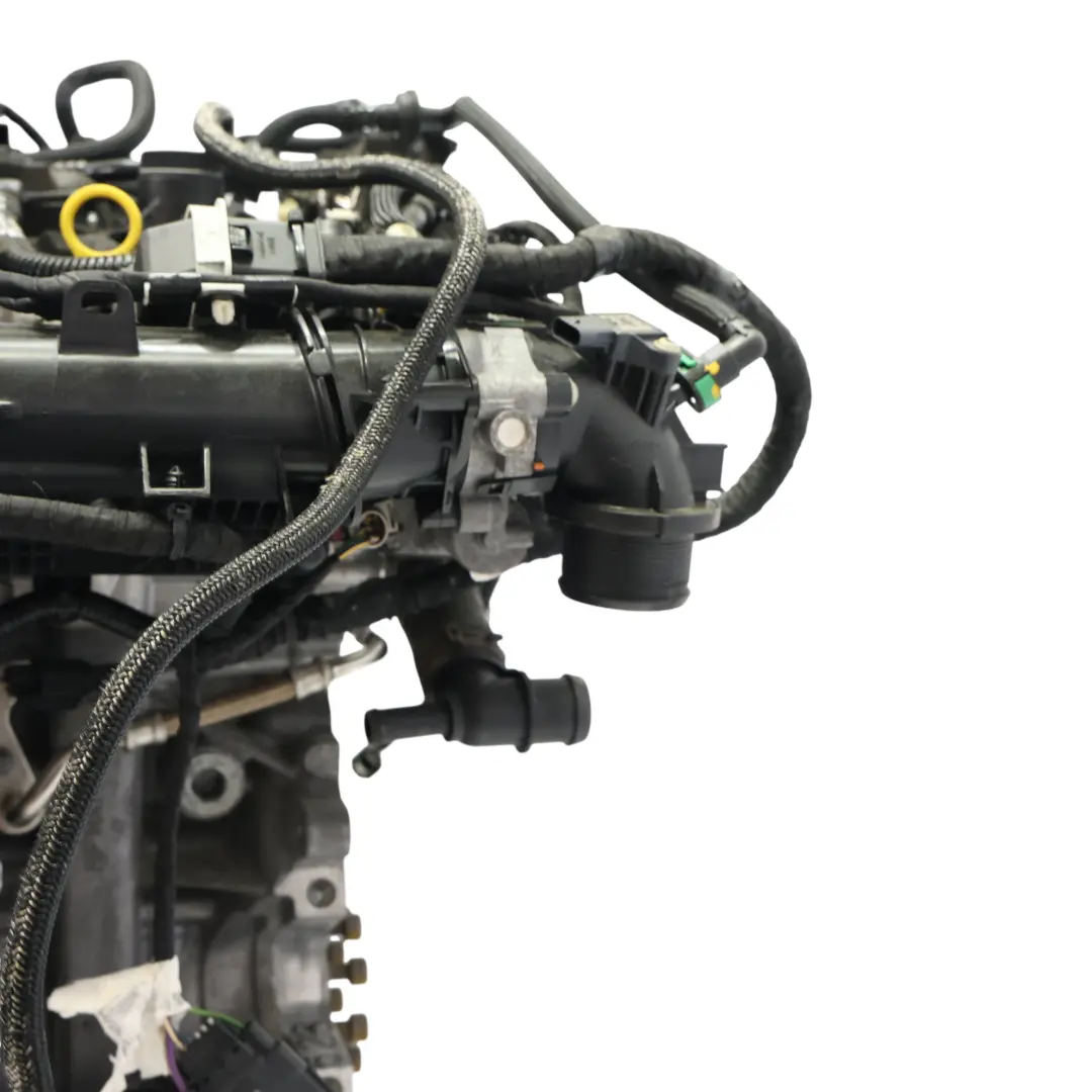 Mk8 ST Motore Nudo YZJA 1.5 Ecoboost 200CV 89 000km, GARANZIA per Ford Fiesta con numero di parte 2665370 Ford Fiesta Mk8 ST Motore Nudo YZJA 1.5 Ecoboost 200CV 89 000km, GARANZIA - SKU 2665370 - Numero di parte 2665370