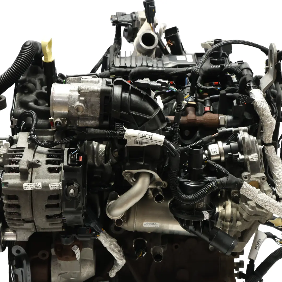 Complete Engine BKFB 2.0 EcoBlue F with 89k miles, WARRANTY to Ford Transit Custom with Part number 2704364 Ford Transit Custom Complete Engine BKFB 2.0 EcoBlue F with 89k miles, WARRANTY - SKU 2704364-1 - Part number 2704364