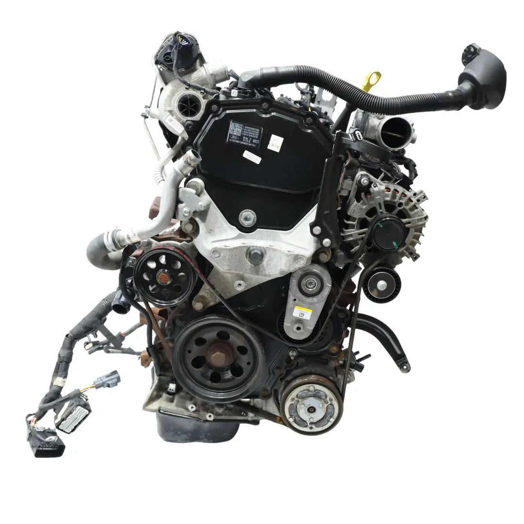 Complete Engine BLFB BLFA 2.0 EcoBlue 65k miles, WARRANTY to Ford Transit Custom with Part number 2704367 Ford Transit Custom Complete Engine BLFB BLFA 2.0 EcoBlue 65k miles, WARRANTY - SKU 2704367-1 - Part number 2704367
