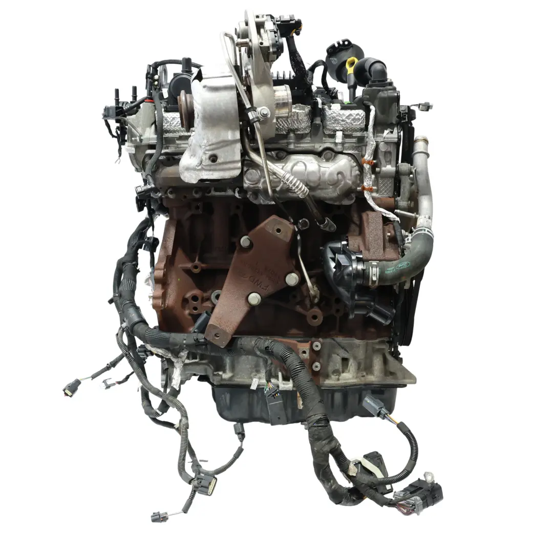 Ford Transit Custom Kompletter Motor BLFB BLFA 2.0 Ecoblue 99TKM, GARANTIE - SKU 2704367-1 - Teilenummer 2704367