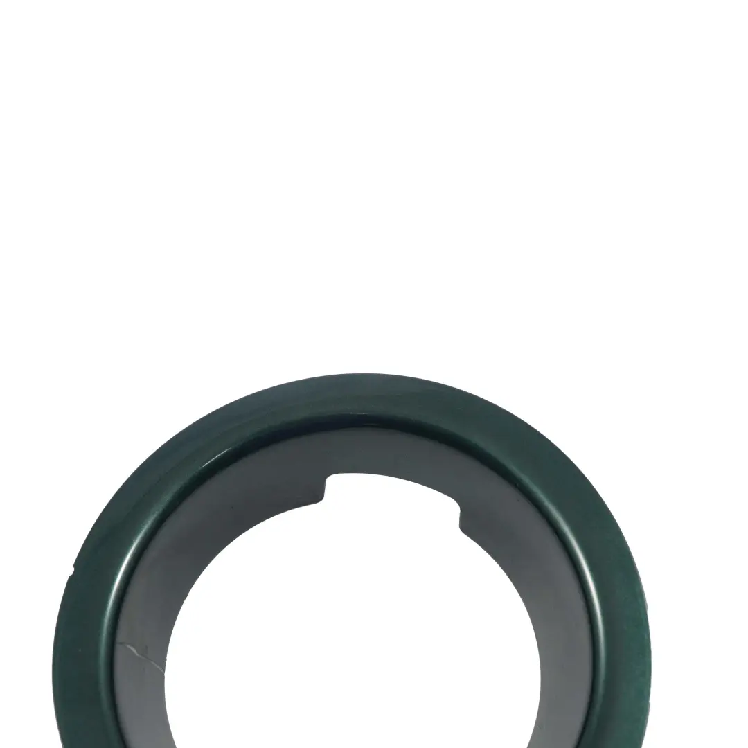  Surround Panel Mini Cooper S R55 R56 Fuel Filler Flap British Racing Green - SKU 2751980-BRG1 - Part number 2751980
