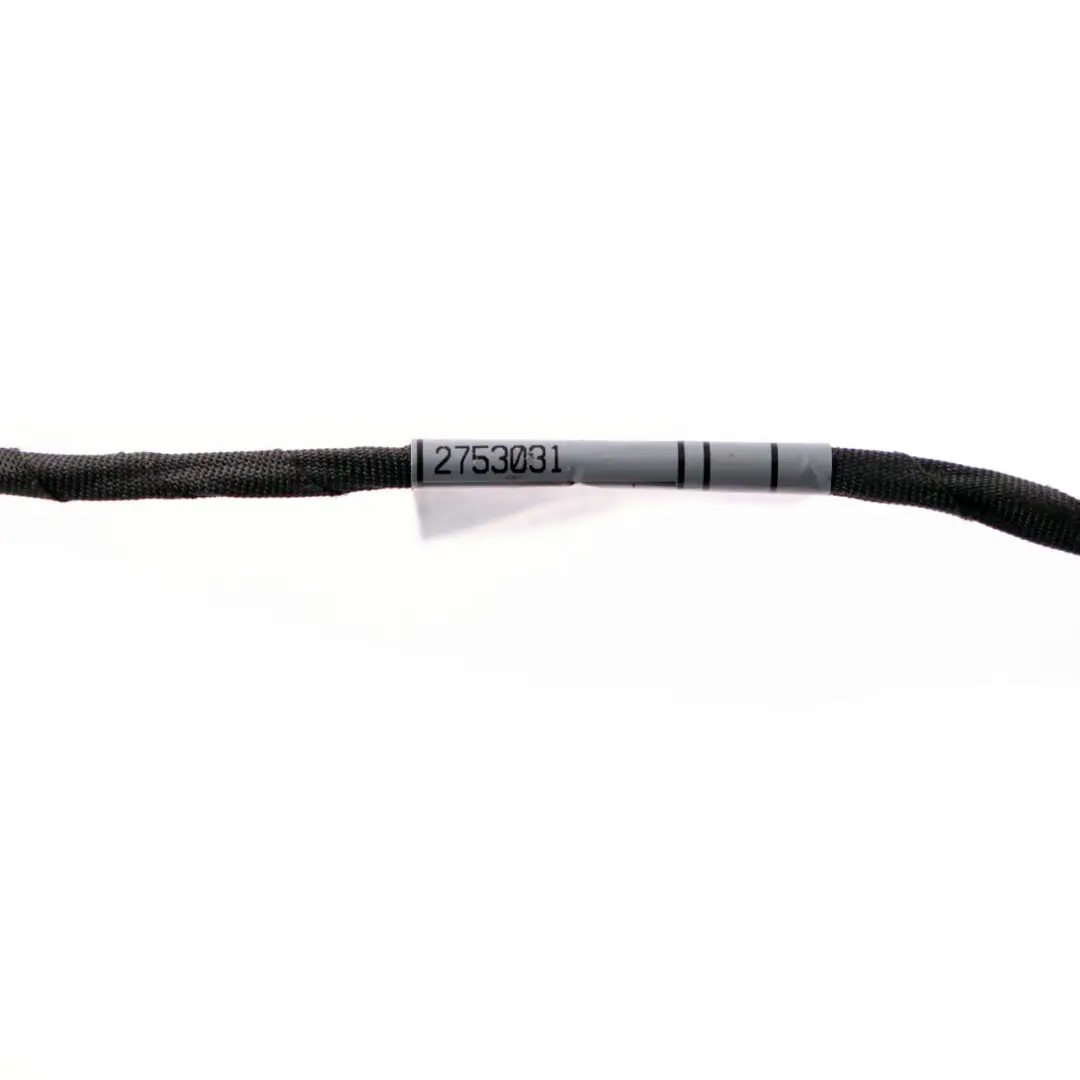 Mini Kabelbaum Kabelbaum Stecker Stecker Buchse Eingang - SKU 2753031 - Teilenummer 2753031