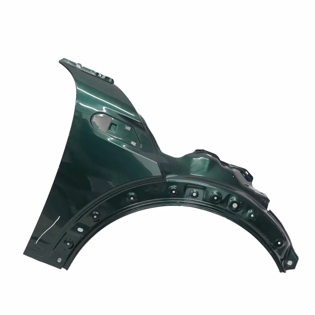 Seitenwand Vorne Rechts Kotflügel British Racing Green Gruen A67 für Mini R55 R56 mit Teilenummer 2754726 Mini R55 R56 Seitenwand Vorne Rechts Kotflügel British Racing Green Gruen A67 - SKU 2754726-BRG2 - Teilenummer 2754726