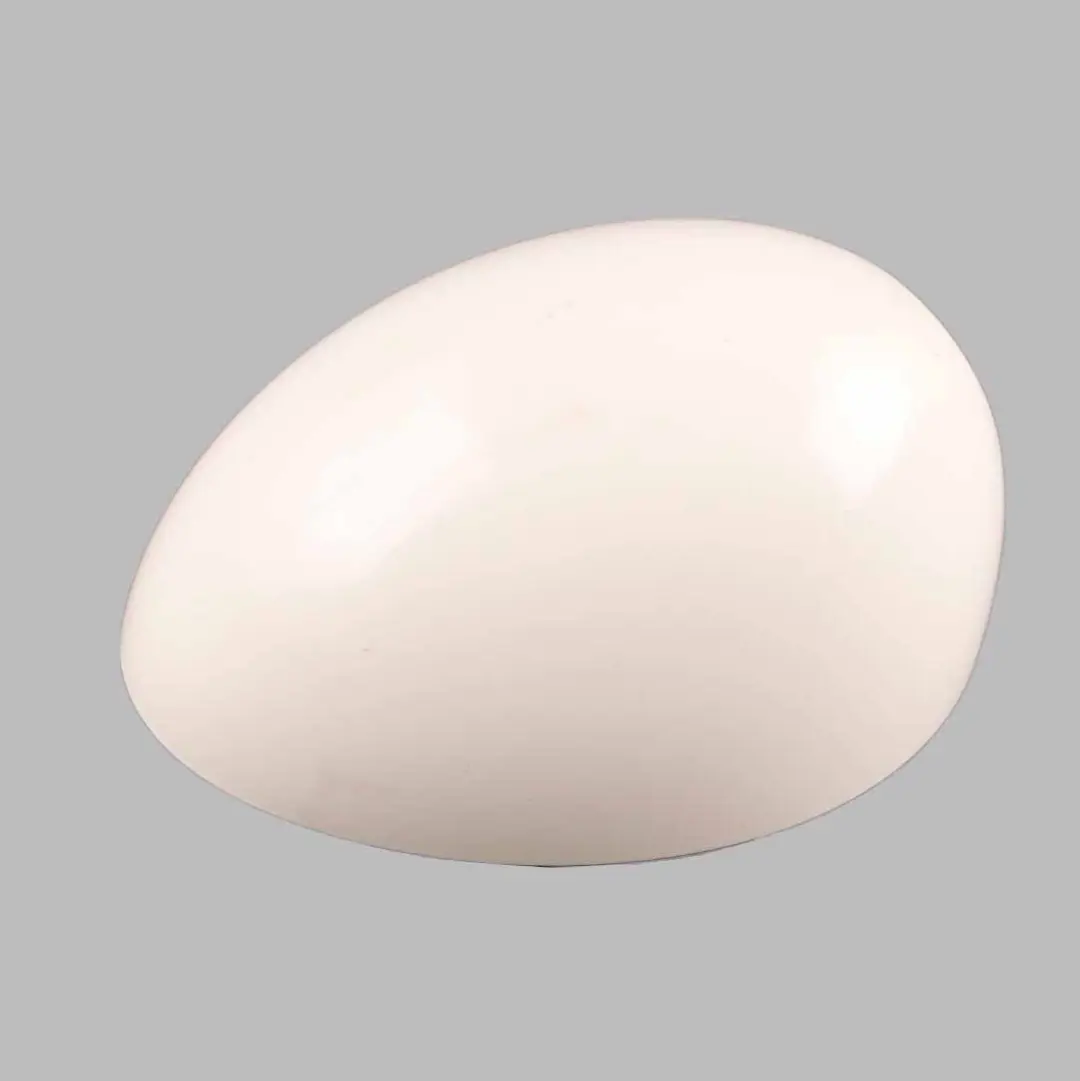  Cache rétroviseur Mini Cooper R55 R56 R60 Capot gauche Pepper White 850 - SKU 2754913-PW - Numéro de pièce 2754913