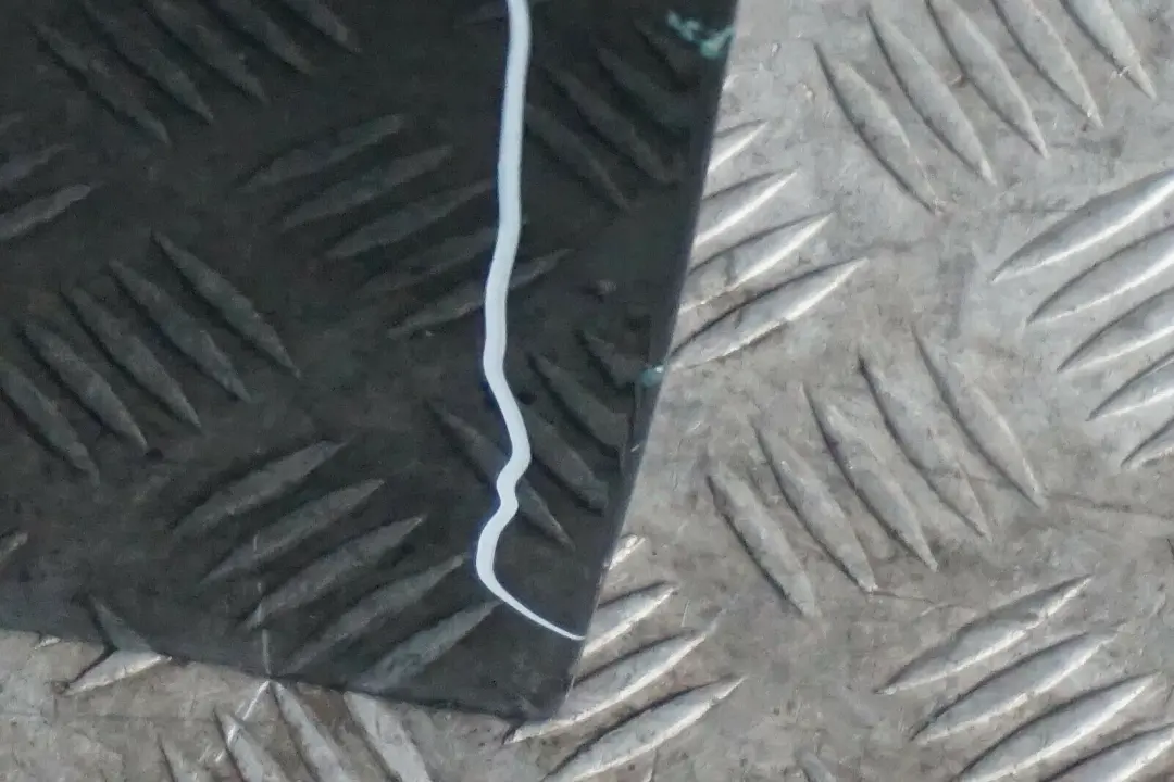 Mini Cooper 7 R55 R56 R57 R58 R59 Conducteur Porte avant Gauche British Vert - SKU 2755935-BRG7 - Numéro de pièce 2755935