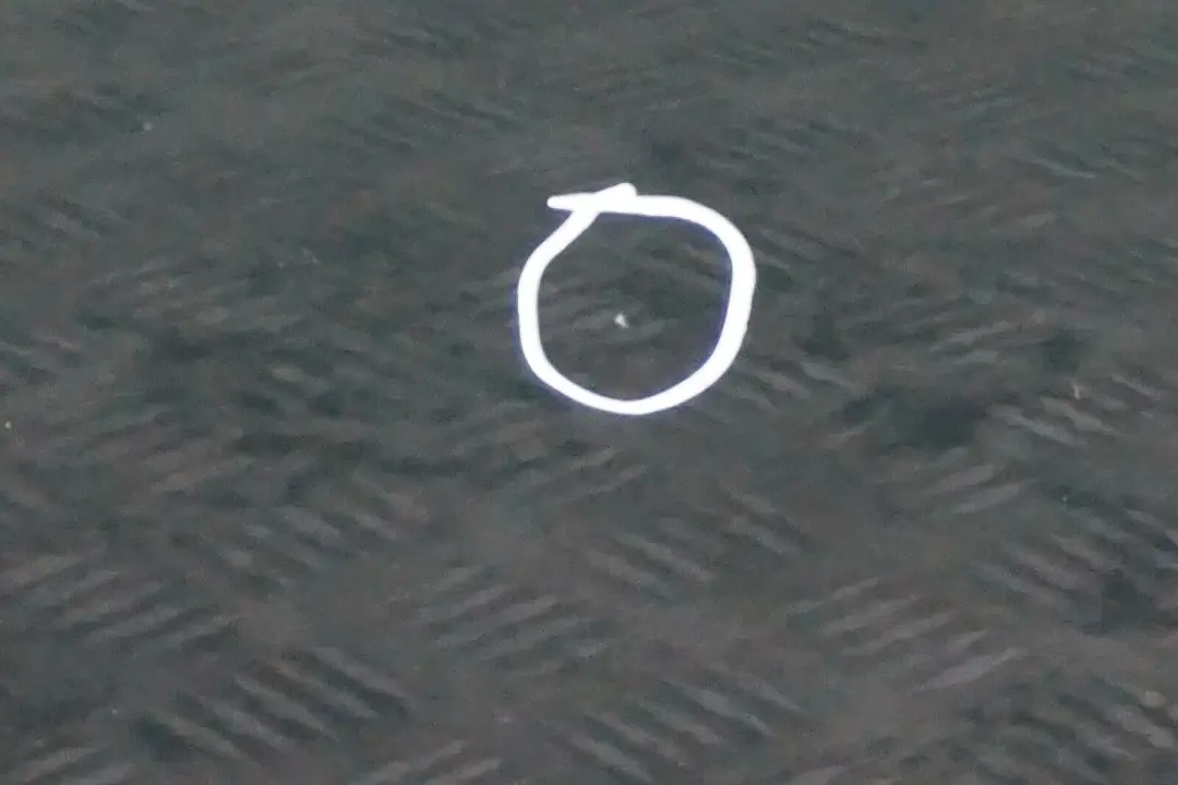 Conducteur Porte avant Gauche British Vert pour Mini Cooper 7 R55 R56 R57 R58 R59 à propos du numéro de pièce 2755935 Mini Cooper 7 R55 R56 R57 R58 R59 Conducteur Porte avant Gauche British Vert - SKU 2755935-BRG7 - Numéro de pièce 2755935