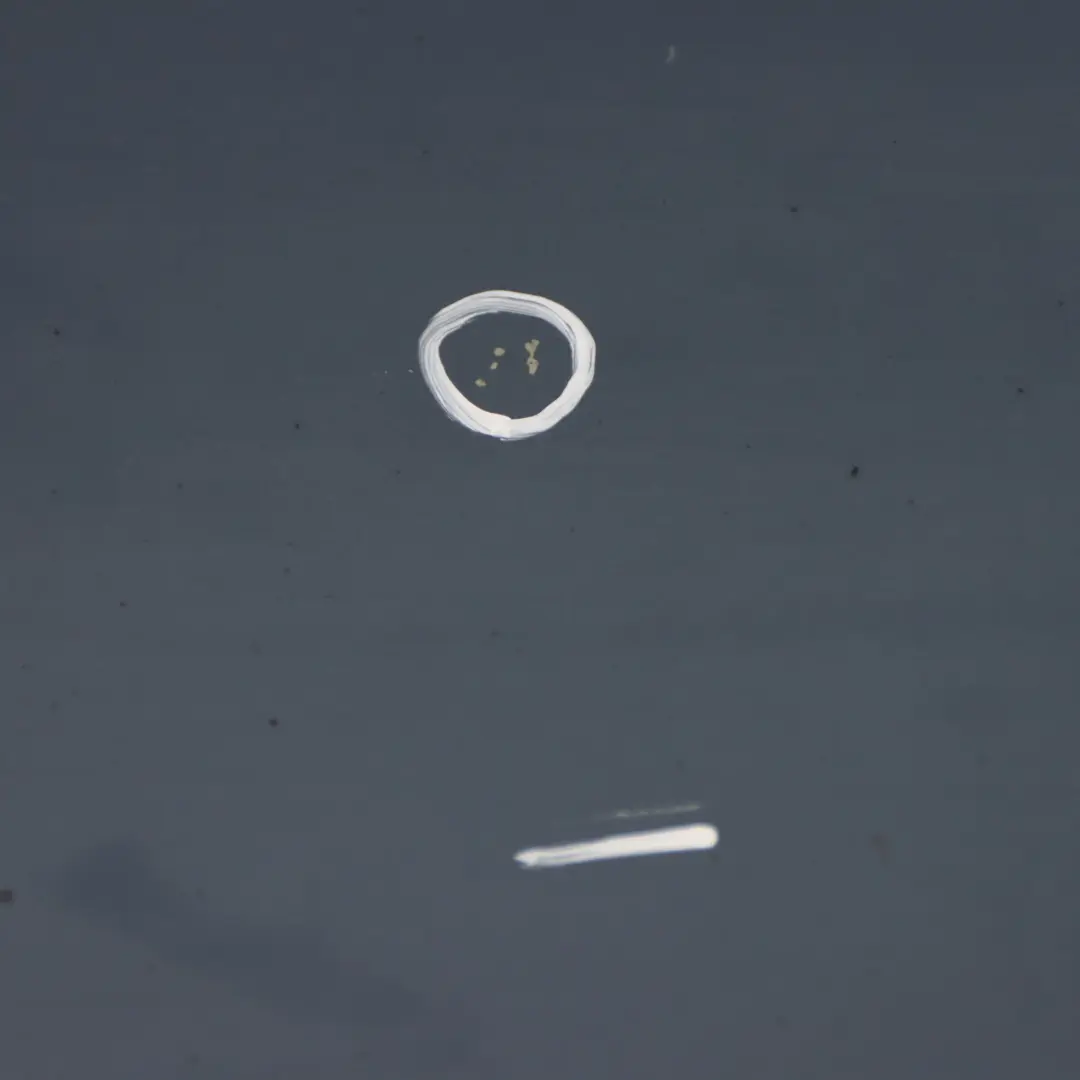 Pannello di copertura porta anteriore sinistra R55 R57 Horizon Blue A93 per Mini R56 con numero di parte 2755935 Mini R56 Pannello di copertura porta anteriore sinistra R55 R57 Horizon Blue A93 - SKU 2755935-HB1 - Numero di parte 2755935
