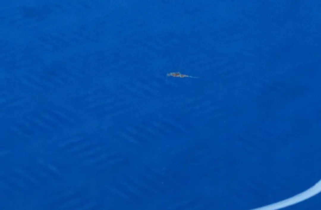 Gauche Brun Laser Bleu A59 pour Mini Cooper One R55 R56 R57 R58 Porte avant à propos du numéro de pièce 2755935 Mini Cooper One R55 R56 R57 R58 Porte avant Gauche Brun Laser Bleu A59 - SKU 2755935-LAB7 - Numéro de pièce 2755935