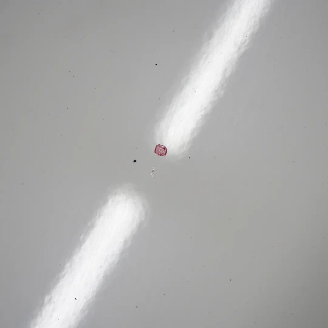 Porta anteriore sinistra R57 R58 R59 Pepper White - 850 per Mini R56 con numero di parte 2755936 Mini R56 Porta anteriore sinistra R57 R58 R59 Pepper White - 850 - SKU 2755936-PW4 - Numero di parte 2755936