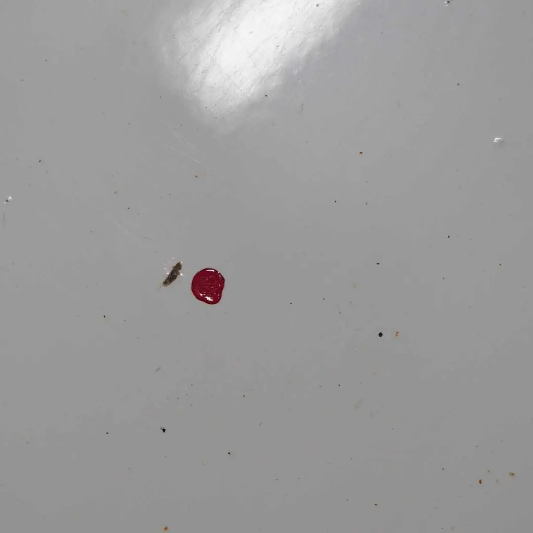 Puerta Delantera Izquierda R57 R58 R59 Pepper White - 850 para Mini R56 con número de pieza 2755936 Mini R56 Puerta Delantera Izquierda R57 R58 R59 Pepper White - 850 - SKU 2755936-PW4 - Número de pieza 2755936