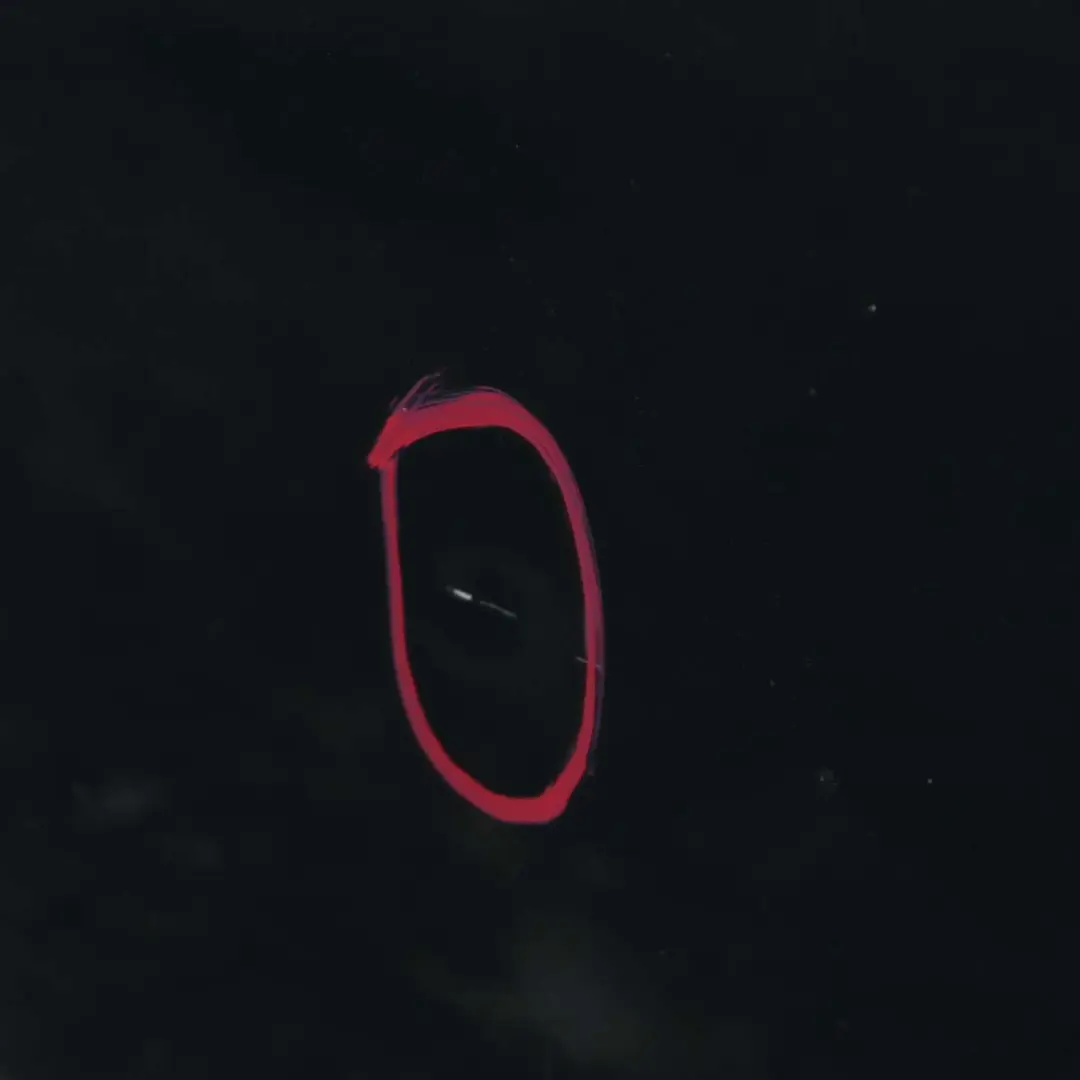 Boot Trunk Lid Left N/S Splitdoor British Racing Green - A67 to Mini Clubman R55 with Part number 2757715 Mini Clubman R55 Boot Trunk Lid Left N/S Splitdoor British Racing Green - A67 - SKU 2757715-BRG - Part number 2757715