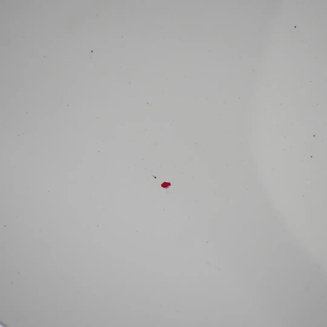 Couvercle de coffre de hayon Pepper White - 850 pour Mini Cabrio R57 à propos du numéro de pièce 2758392 Mini Cabrio R57 Couvercle de coffre de hayon Pepper White - 850 - SKU 2758392-PW - Numéro de pièce 2758392