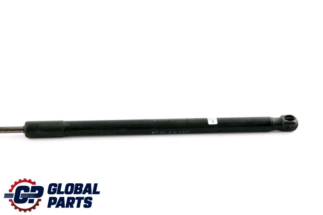 Hayon de Ressort a Pression de Gaz pour BMW X1 E84 à propos du numéro de pièce 2990136 BMW X1 E84 Hayon de Ressort a Pression de Gaz - SKU 2990136 - Numéro de pièce 2990136