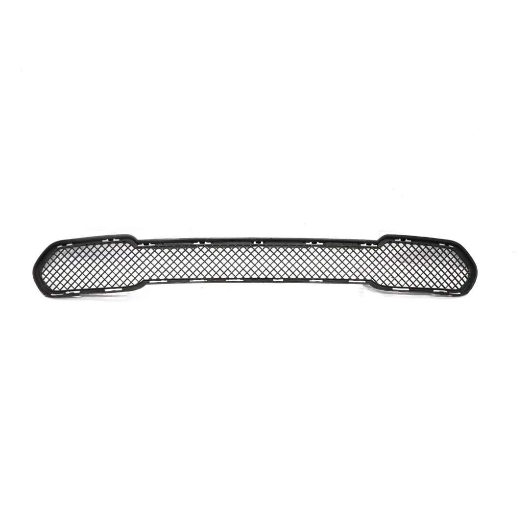 BMW X1 Series E84 Grid Centre Open Front Bumper Grill - SKU 2990368 - Part number 2990368
