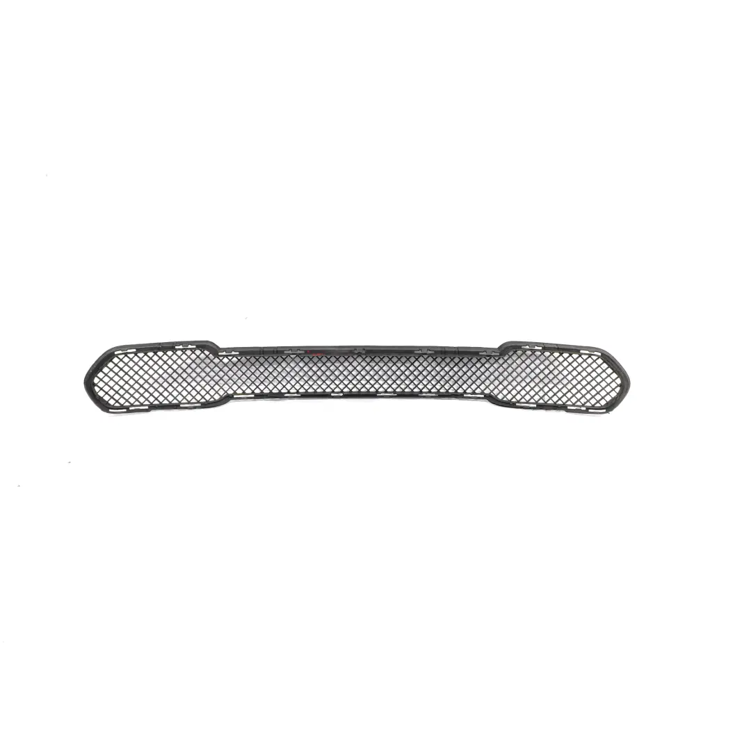 BMW X1 Series E84 Grid Centre Open Front Bumper Grill - SKU 2990368 - Part number 2990368
