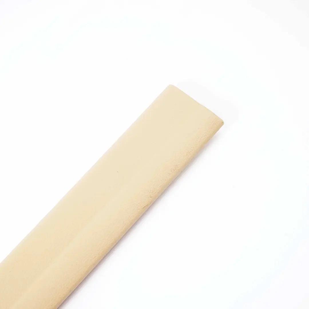 Striscia Copertura Ingresso Anteriore Sinistro Savanna Beige per BMW X1 E84 con numero di parte 2990759 BMW X1 E84 Striscia Copertura Ingresso Anteriore Sinistro Savanna Beige - SKU 2990505 - Numero di parte 2990759