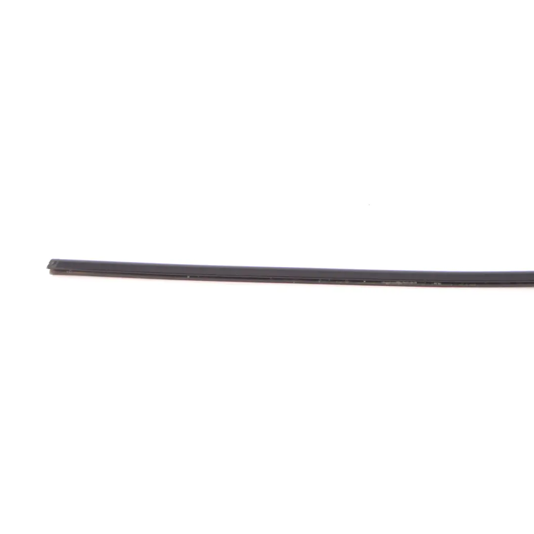 BMW X1 E84 Copertura Canale Esterno Porta Sinistra Alta Lucentezza - SKU 2990875 - Numero di parte 2990875