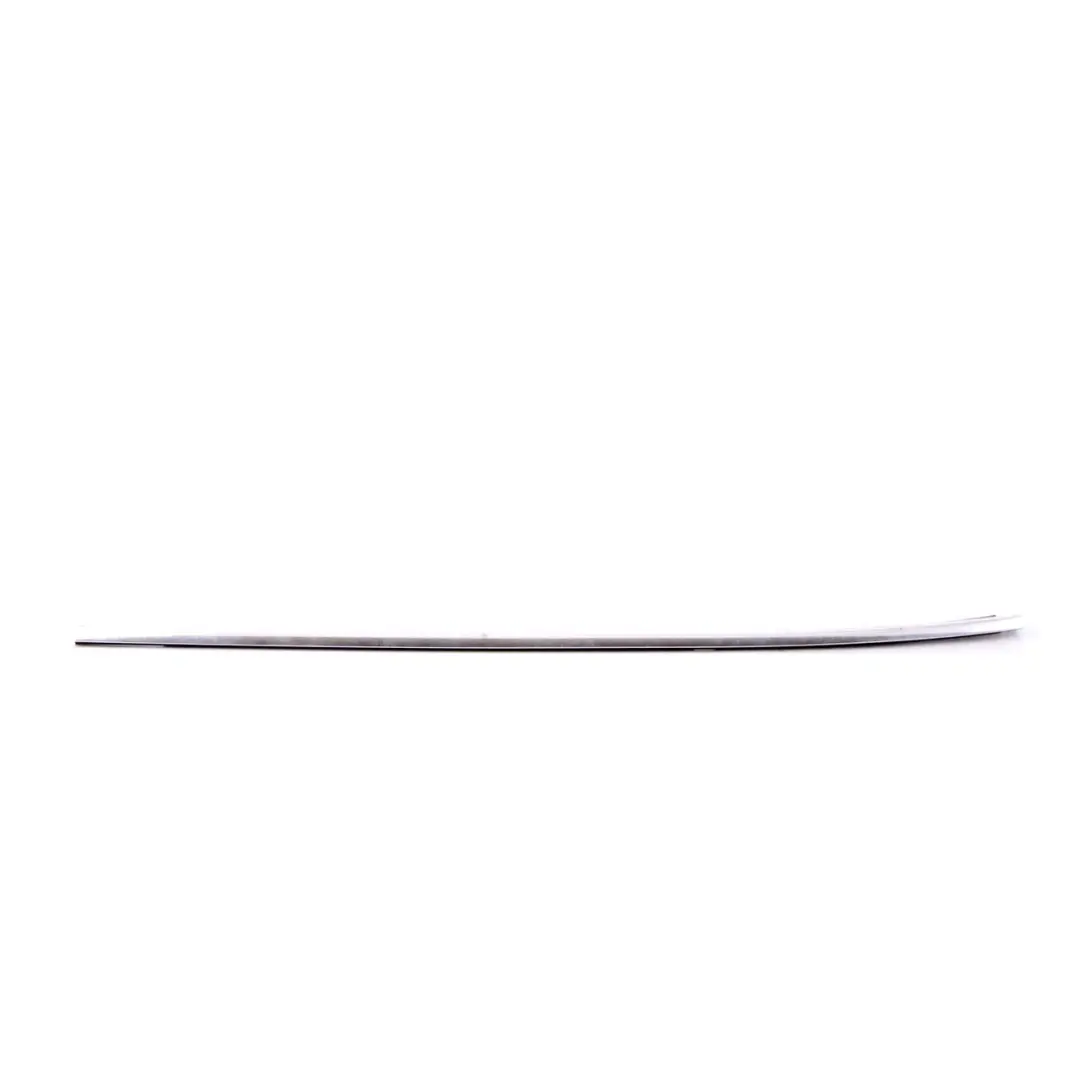  Door Weatherstrip BMW X1 E84 Outer Trim Strip Rear Left N/S Chrome - SKU 2990879 - Part number 2990879