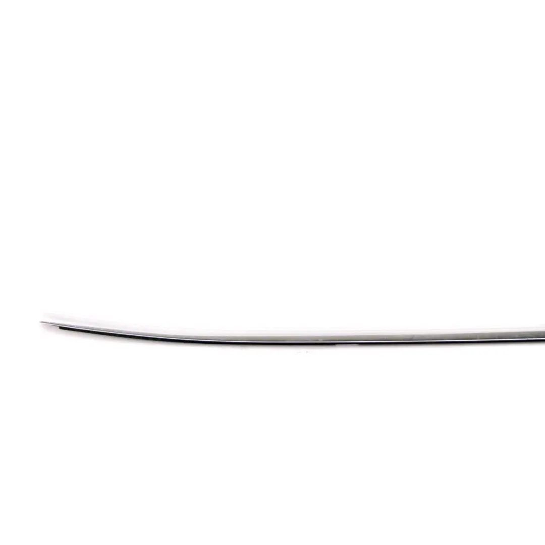 BMW X1 E84 Outer Weatherstrip Door Rear Right O/S Chrome Strip - SKU 2990880 - Part number 2990880
