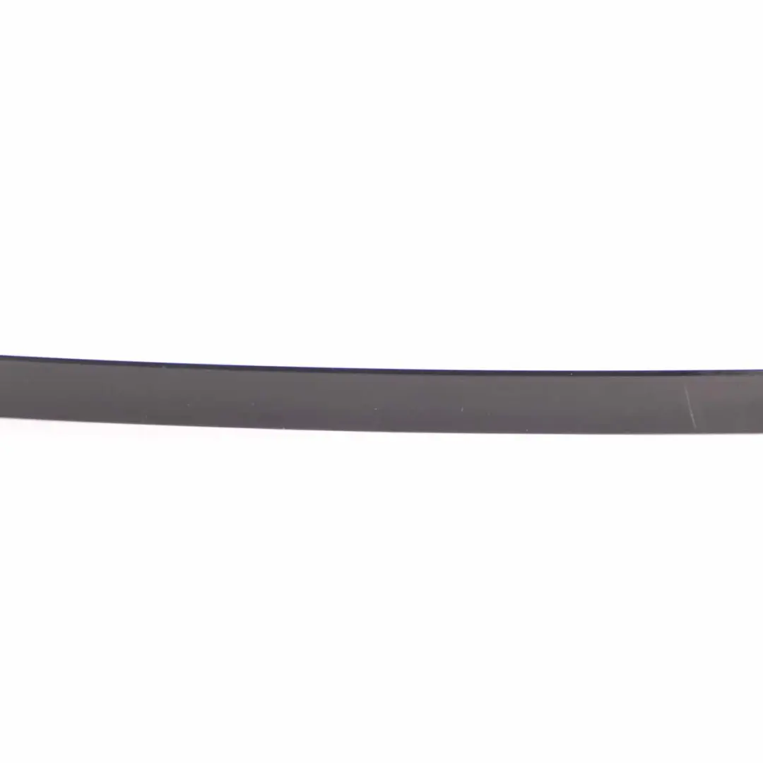  Trim Window Guide BMW X1 E84 Rear Left N/S Web Cover Exterior High Gloss - SKU 2990885 - Part number 2990885