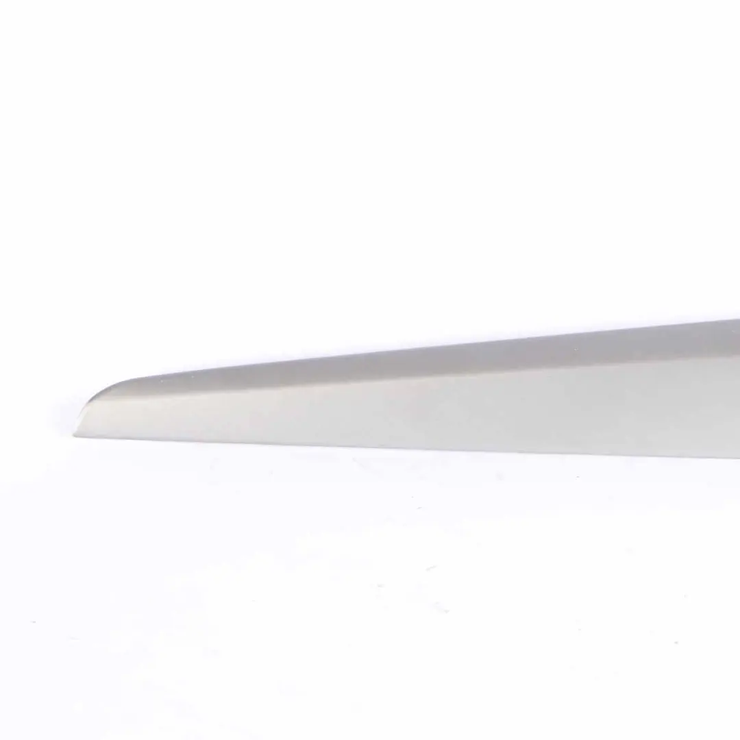  Baguette d'habillage de porte BMW X1 E84 Couvercle Avant Arrière Gauche - SKU 2991391 - Numéro de pièce 2991391