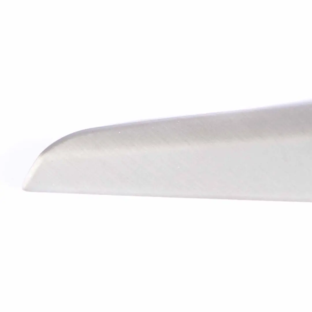  Door Trim Strip BMW X1 E84 Cover Front Rear Left Aluminium Fine Finish - SKU 2991391 - Part number 2991391