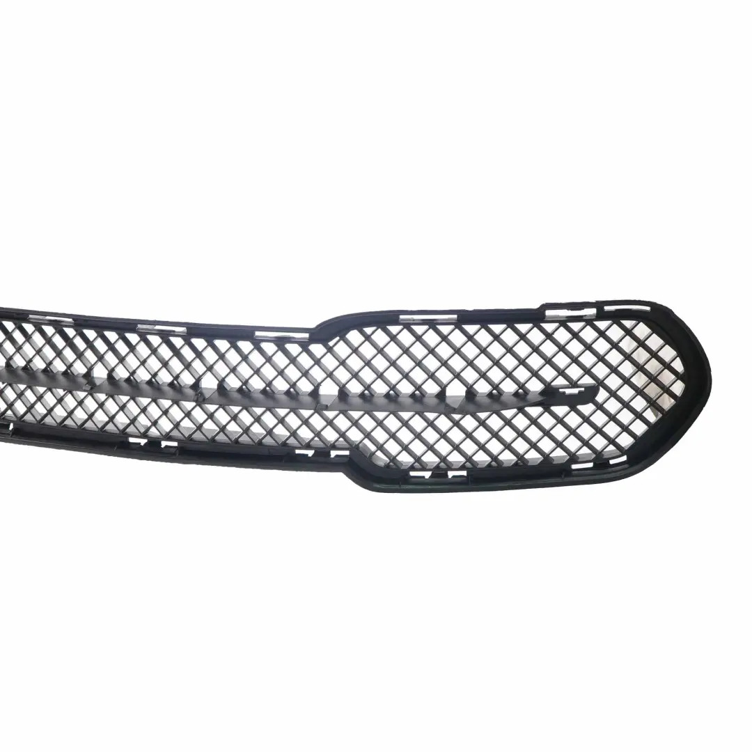 Parachoques Delantero Centro Medio Rejilla Inferior para BMW X1 E84 X Line con número de pieza 2991506 BMW X1 E84 X Line Parachoques Delantero Centro Medio Rejilla Inferior - SKU 2991506-1 - Número de pieza 2991506