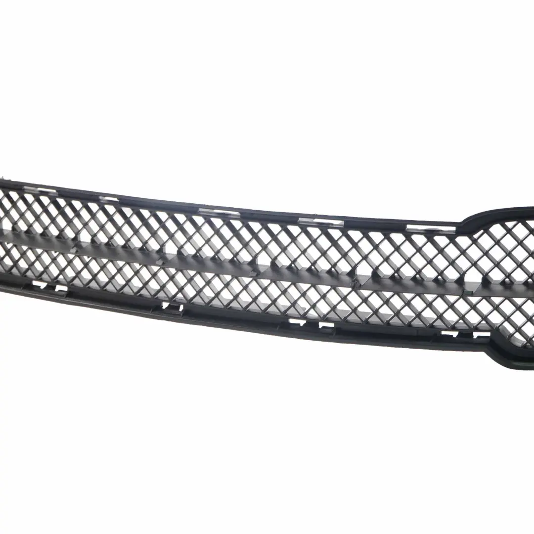 BMW X1 E84 X Line Paraurti Anteriore Centrale Griglia Inferiore - SKU 2991506-1 - Numero di parte 2991506