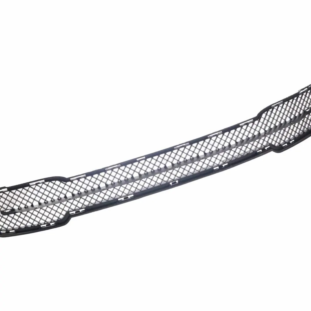 Parachoques Delantero Centro Medio Rejilla Inferior para BMW X1 E84 X Line con número de pieza 2991506 BMW X1 E84 X Line Parachoques Delantero Centro Medio Rejilla Inferior - SKU 2991506-1 - Número de pieza 2991506