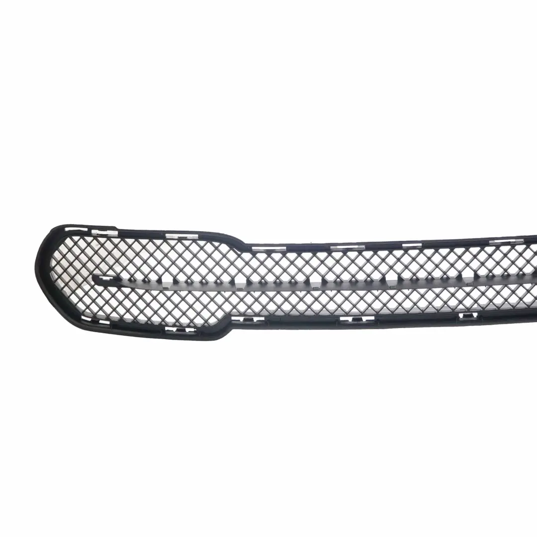 BMW X1 er E84 X Line Stossfänger Vorn Gitter Mitte Schwarz - SKU 2991506-1 - Teilenummer 2991506