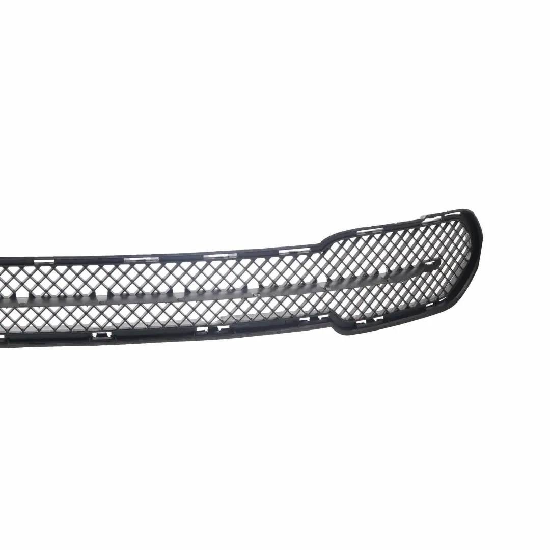 BMW X1 er E84 X Line Stossfänger Vorn Gitter Mitte Schwarz - SKU 2991506-1 - Teilenummer 2991506