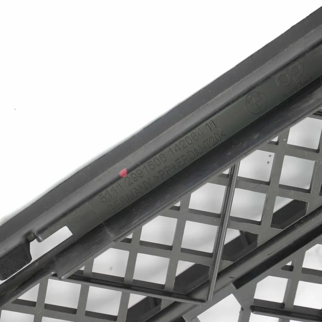 Parachoques Delantero Centro Medio Rejilla Inferior para BMW X1 E84 X Line con número de pieza 2991506 BMW X1 E84 X Line Parachoques Delantero Centro Medio Rejilla Inferior - SKU 2991506-1 - Número de pieza 2991506