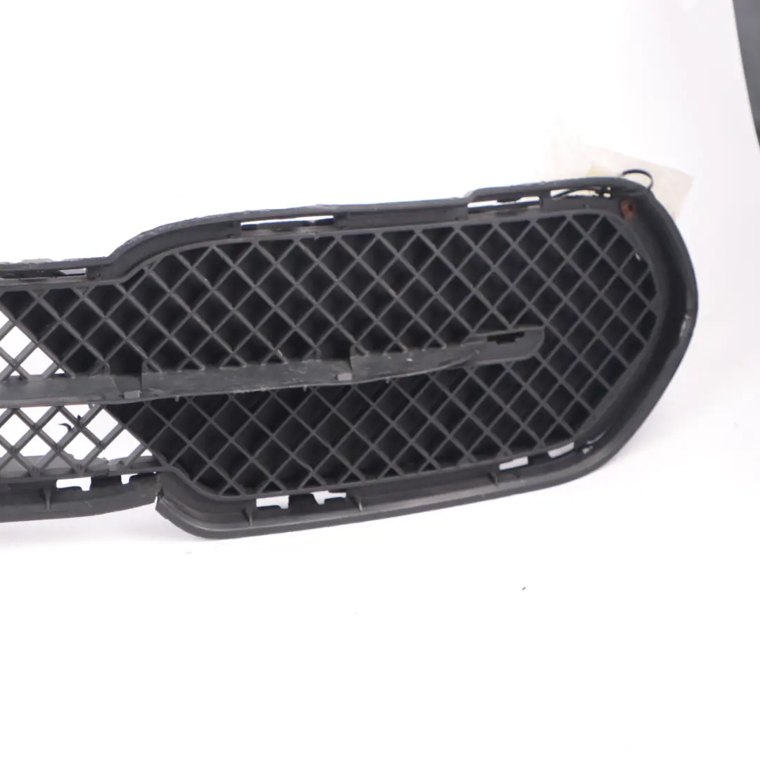 Paraurti Anteriore Griglia Centrale Inferiore per BMW X1 E84 X Line con numero di parte 2991506 BMW X1 E84 X Line Paraurti Anteriore Griglia Centrale Inferiore - SKU 2991506-2 - Numero di parte 2991506