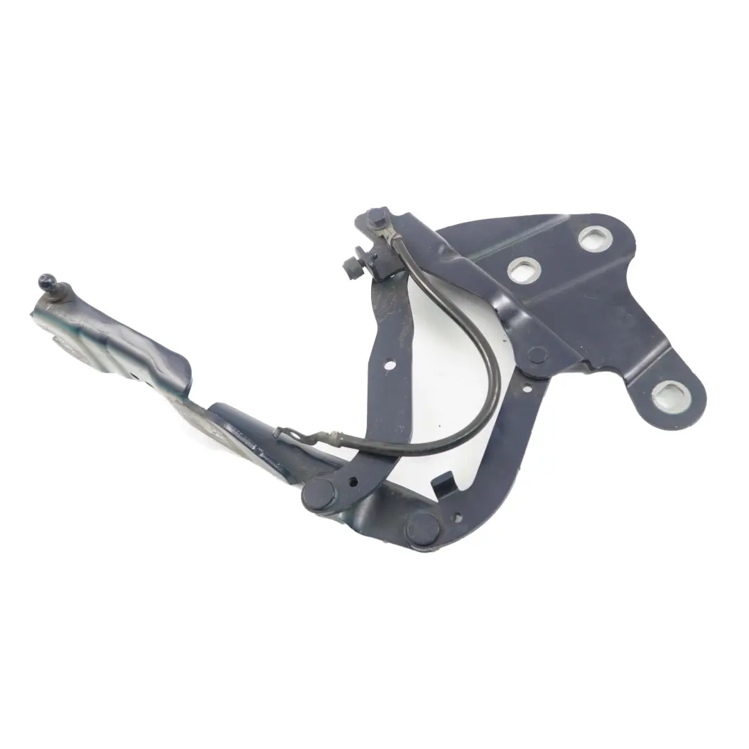 Cardine Lembo Anteriore Sinistra Blu Acque Profonde A76 2990359 BMW X1 E84 - SKU 2993149-DSB - Numero di parte 2993149