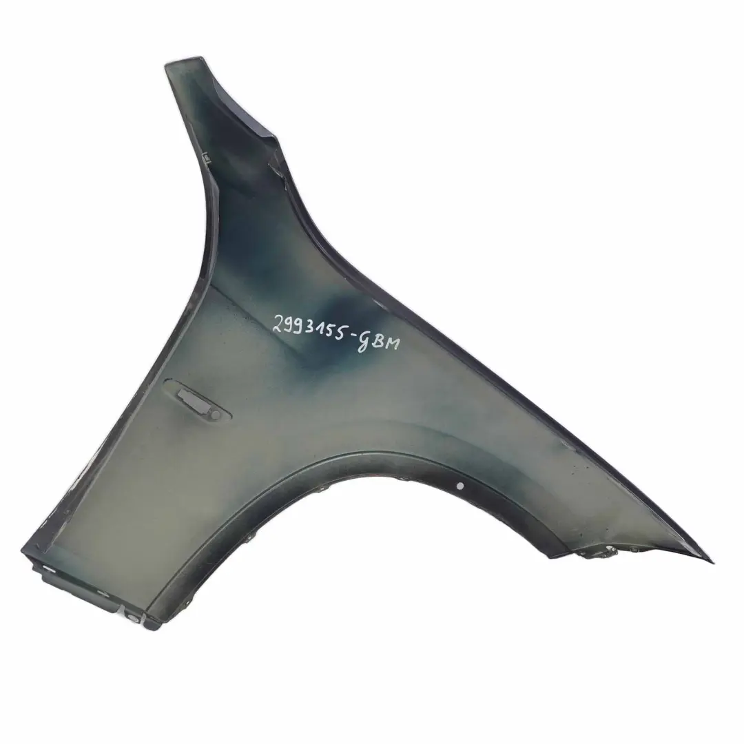 Pannello laterale BMW X1 E84 parafango anteriore sinistro Blu Grafite - B07 per con numero di parte 2993155 Pannello laterale BMW X1 E84 parafango anteriore sinistro Blu Grafite - B07 - SKU 2993155-GBM - Numero di parte 2993155