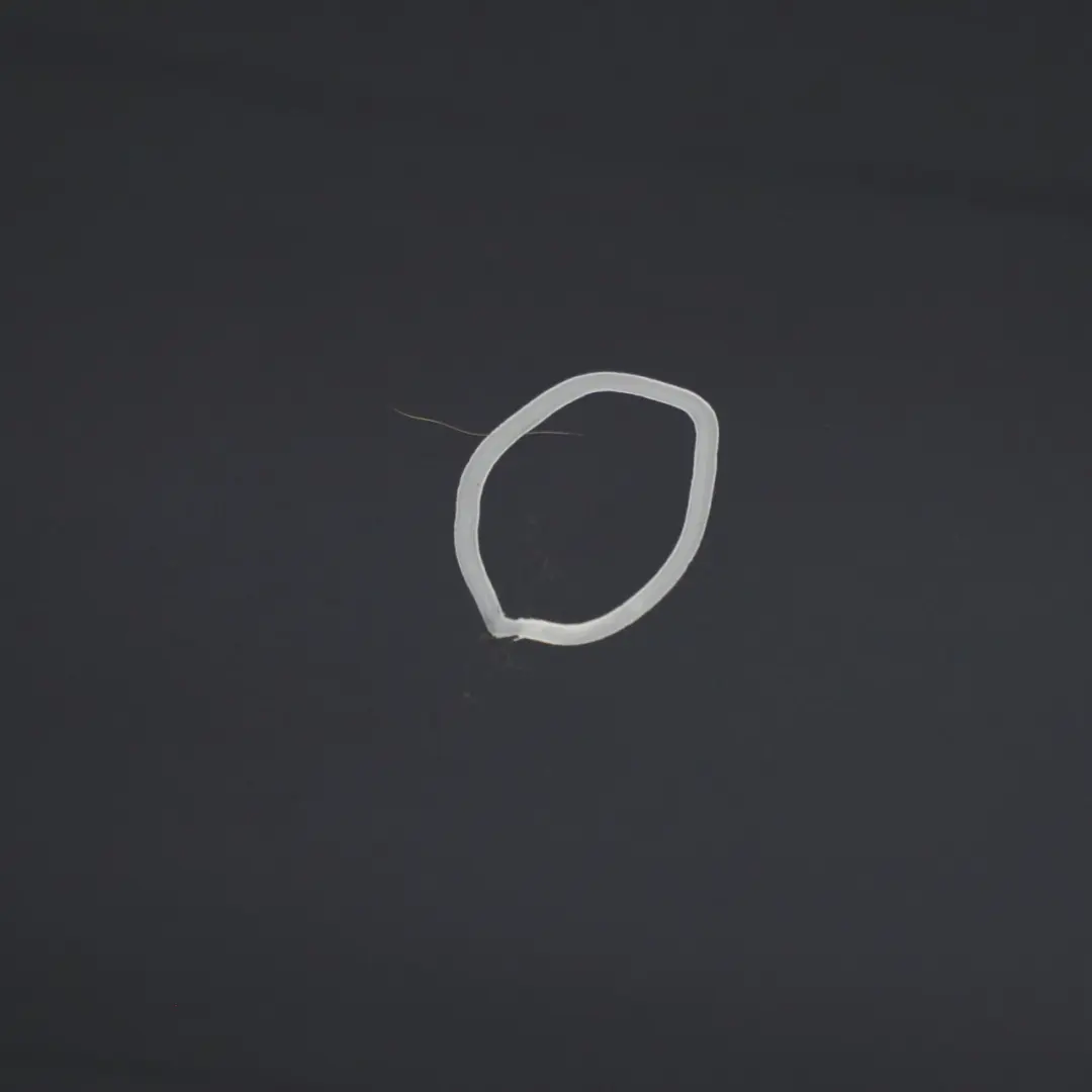 Puerta Trasera Izquierda Graphitblau Graphite Blue Metallic - B07 para BMW X1 E84 con número de pieza 2993819 BMW X1 E84 Puerta Trasera Izquierda Graphitblau Graphite Blue Metallic - B07 - SKU 2993819-GBM - Número de pieza 2993819