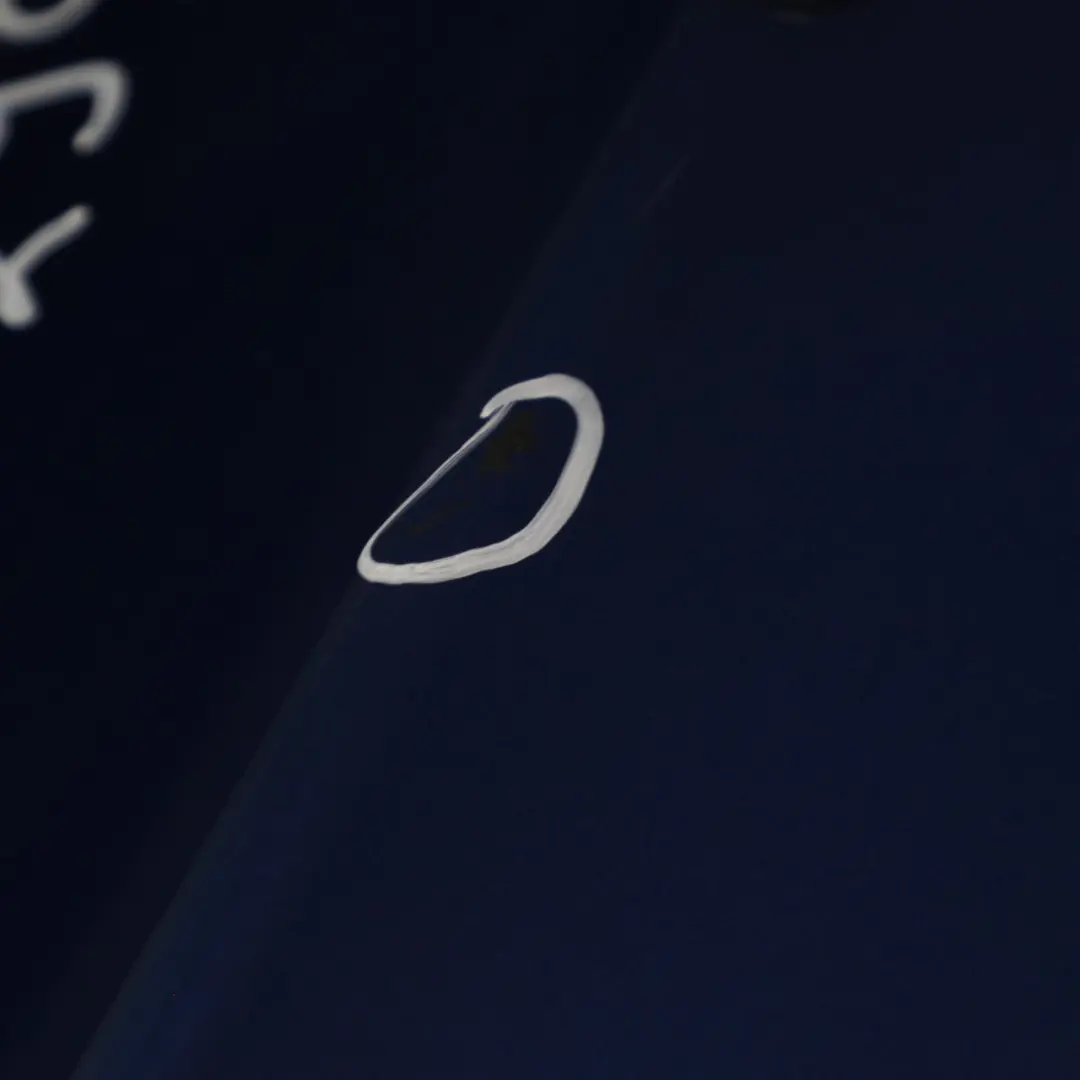 Arrière Gauche Bleu Le Mans Métallisé - 381 pour BMW X1 E84 Porte à propos du numéro de pièce 2993819 BMW X1 E84 Porte Arrière Gauche Bleu Le Mans Métallisé - 381 - SKU 2993819-LMB - Numéro de pièce 2993819