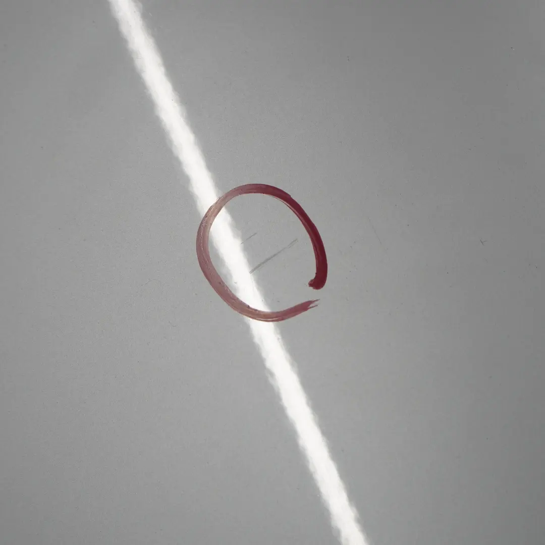 BMW X1 Reihe E84 Tür Hinten Rechts Glacier Silber Metallic - A83 - SKU 2993820-GSB - Teilenummer 2993820