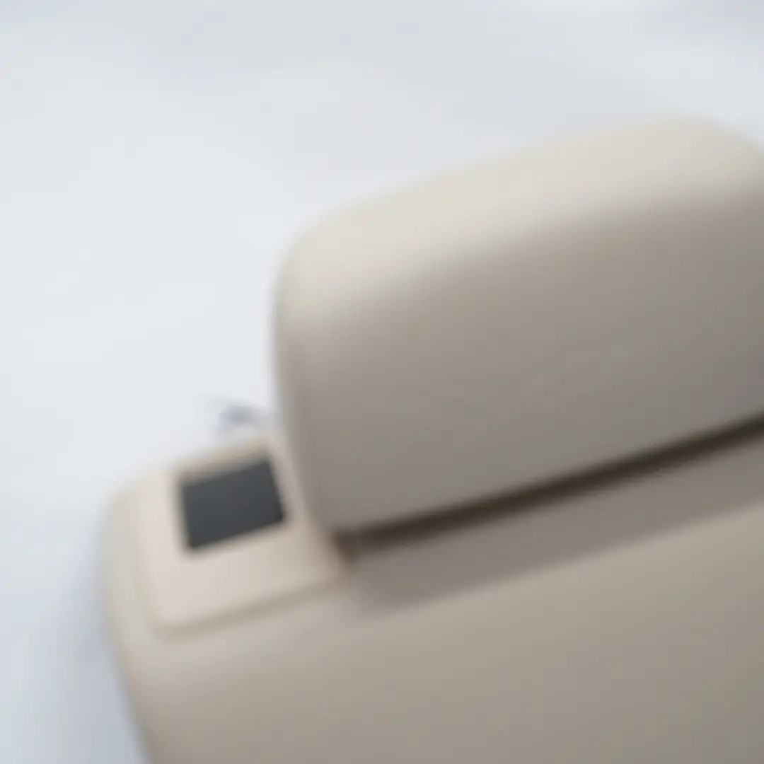 Backrest Rear Folding Cover Leather Nevada Oyster to BMW X1 E84 Seat with Part number 2994203 BMW X1 E84 Seat Backrest Rear Folding Cover Leather Nevada Oyster - SKU 2994203 - Part number 2994203