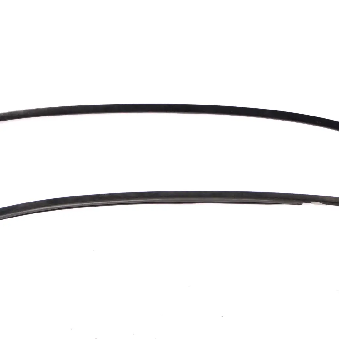 BMW E82 Roof Frame Strip Left Right N/O/S Black Glanzschwarz Shadow Line - SKU 2996901/2996902 - Part number 2996901