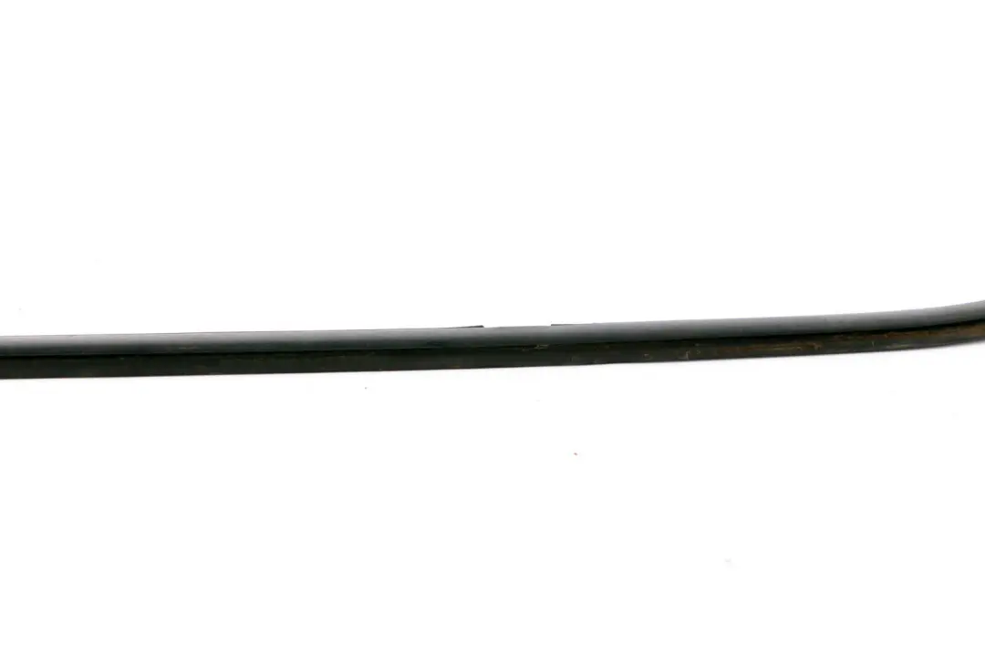 BMW X3 Series E83 Rear Left N/S Door Outer Weatherstrip Black Matt - SKU 3330181 - Part number 3330181