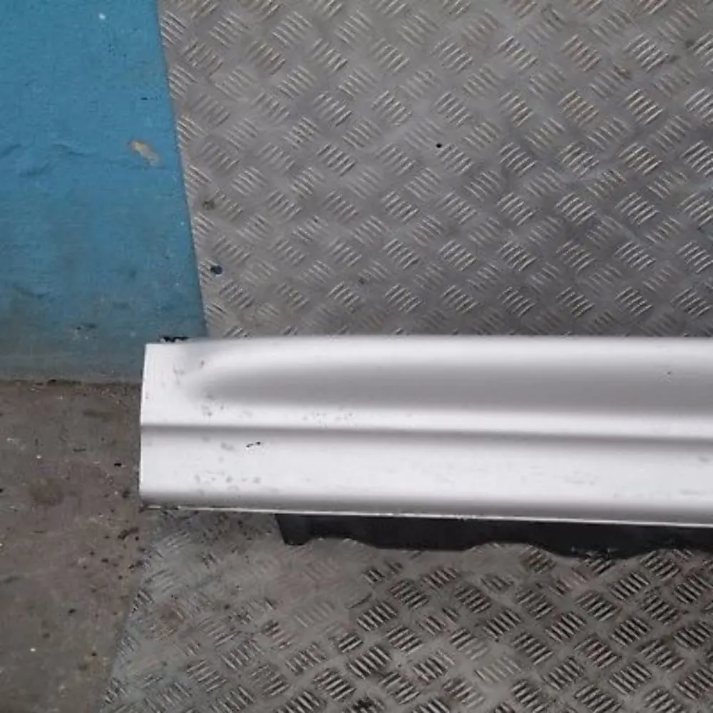 Copertura Gonna SX Argento-Titanio Titan Argento? 354 per BMW X3 E83 con numero di parte 51713330865 BMW X3 E83 Copertura Gonna SX Argento-Titanio Titan Argento? 354 - SKU 3330865-TS - Numero di parte 51713330865