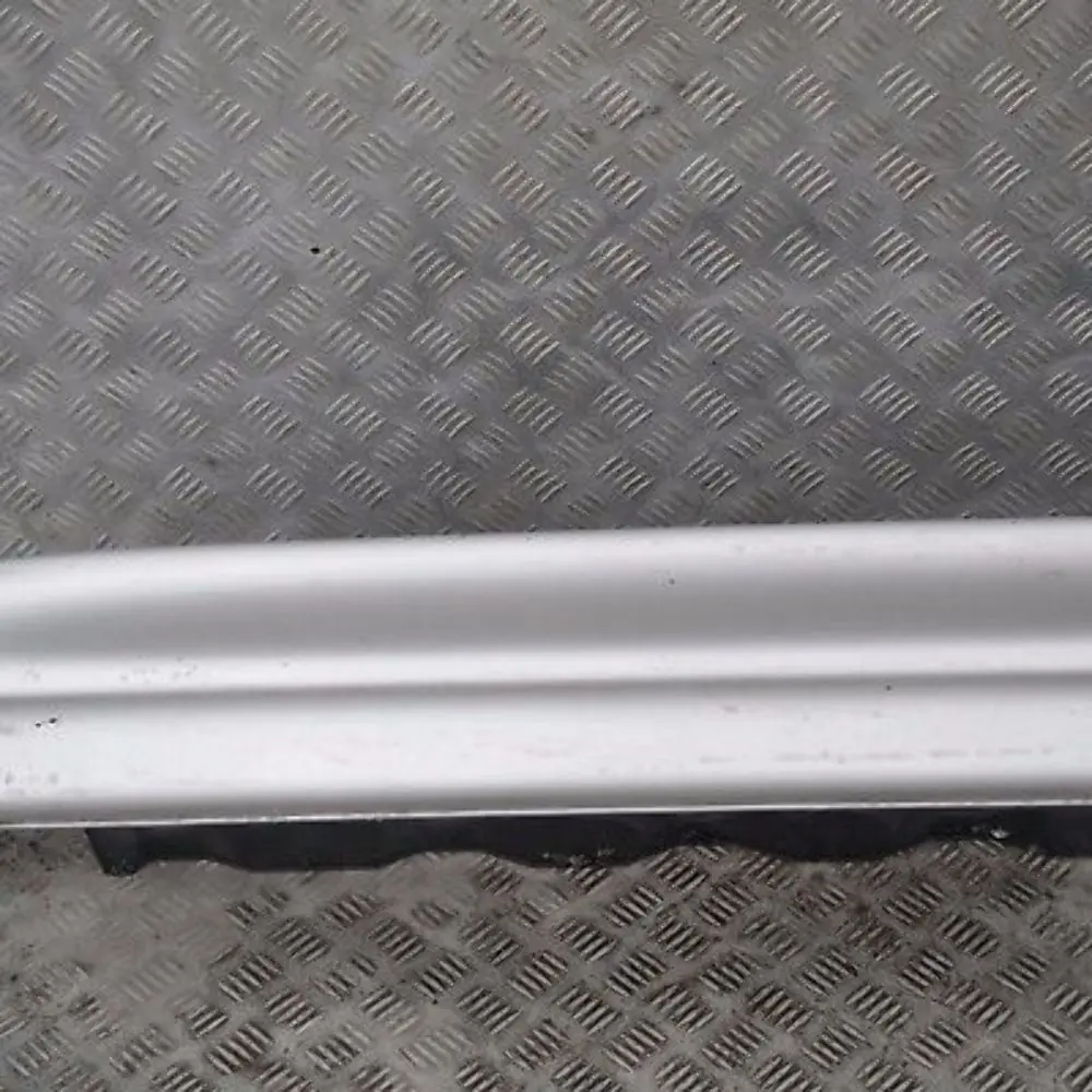 BMW X3 E83 Copertura Gonna SX Argento-Titanio Titan Argento? 354 - SKU 3330865-TS - Numero di parte 51713330865