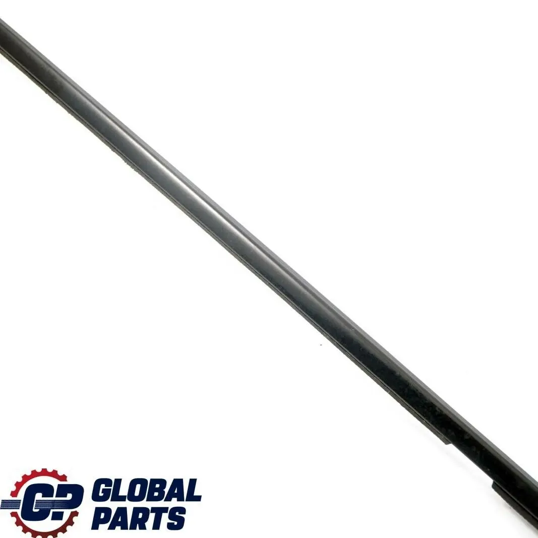 BMW E83 Canal Cubierta Embellecedor Exterior Puerta Trasera Derecha Glanzschwarz - SKU 3402334 - Número de pieza 3402334