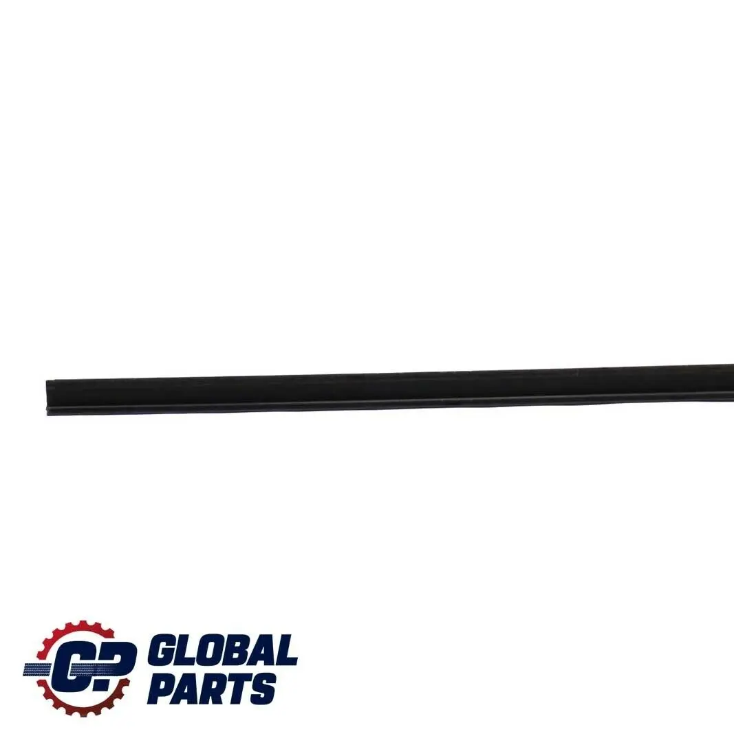 BMW X3 er E83 E83N LCI Blende Trittbrett Links 5171 - SKU 3403001 - Teilenummer 3403001