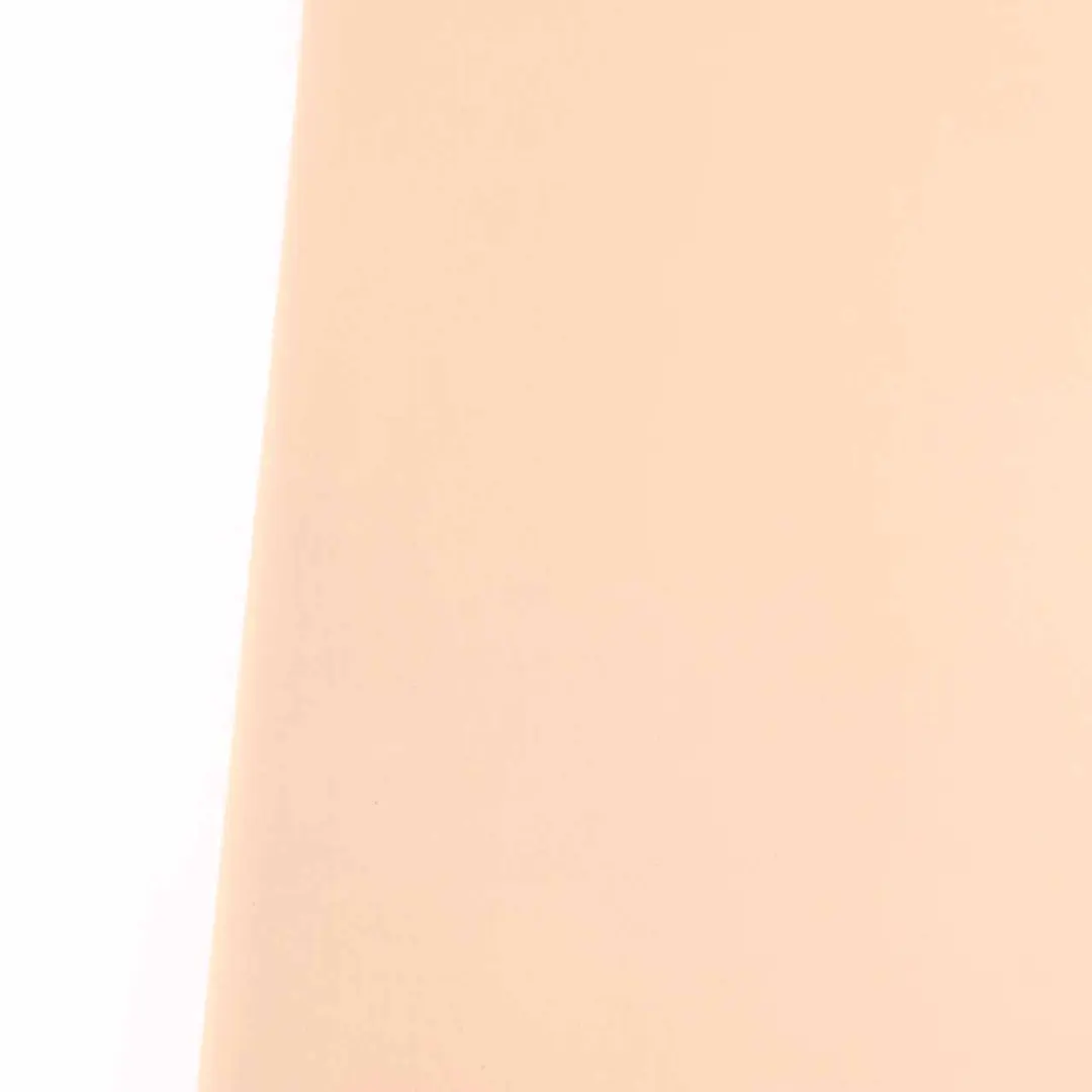 Sedile posteriore destro Pannello laterale Sensatec Sandbeige per BMW X3 E83 con numero di parte 3413570 BMW X3 E83 Sedile posteriore destro Pannello laterale Sensatec Sandbeige - SKU 3413570 - Numero di parte 3413570